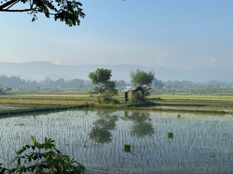 Yogyakarta: Village Cycling Tour with Local Snacks - Source