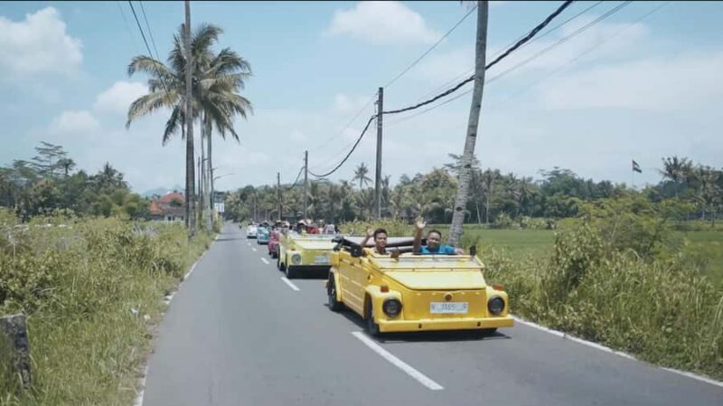 Yogyakarta : VW Borobudur English Guide Tour Day Trip - In-Depth Review: What We Loved and What to Keep in Mind