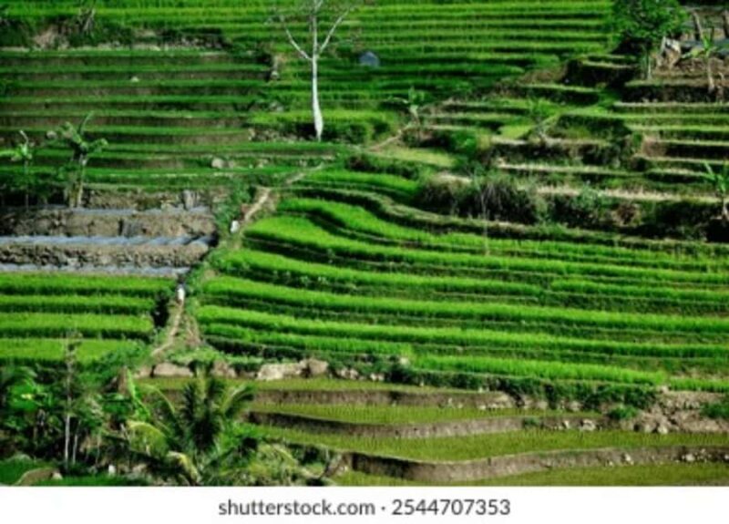 YOGYAKARTA;NEPAL VAN JAVA & SELOGRIYO TEMPLE TERRACED FIELDS - Frequently Asked Questions