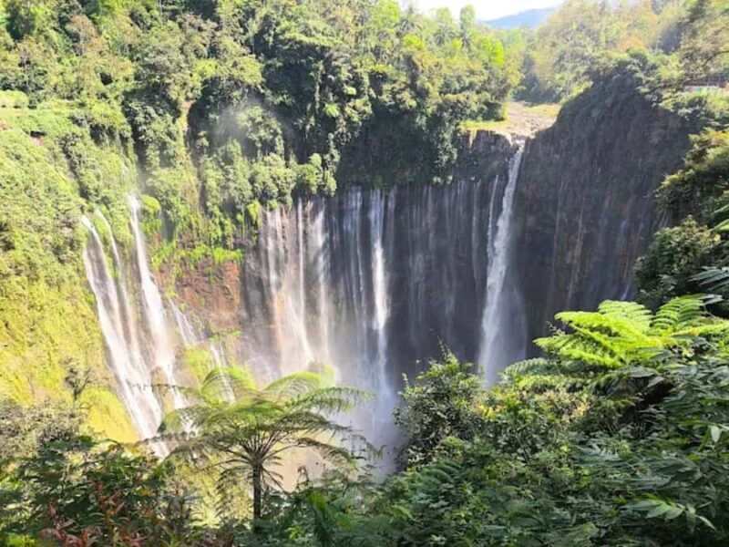 Yogyakarta,Surabaya/malang to waterfall,Bromo&Ijen drop Bali - A Deep Dive into the Java Adventure Tour