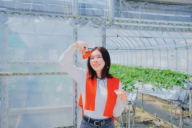 YokaBus Fukuoka Strawberry Picking and Sakura Dyeing Experience - FAQ