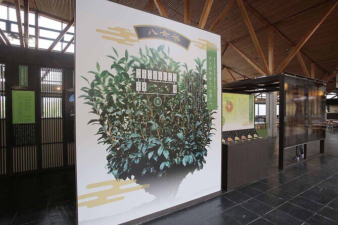 YokaBus Heritage in a Cup of a Yame Tea & Sake Tasting Expedition - Who Should Consider This Tour?