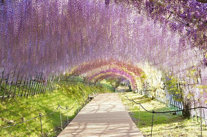 YokaBus Kawachi Wisteria Garden and Strawberry Picking Experience - Frequently Asked Questions