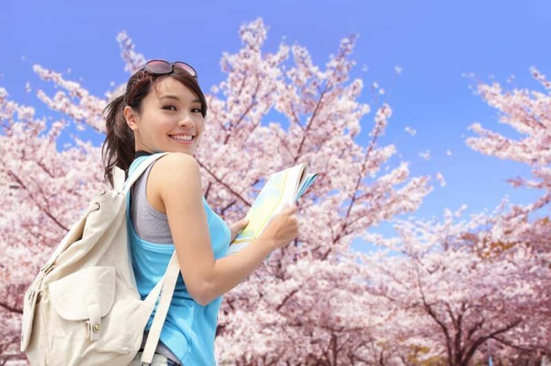 Yokohama Cherry Blossom Tour Full Day and Local Expert Guide - Final Thoughts