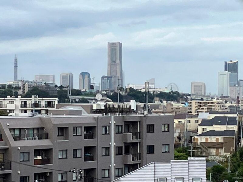 yokohama-full-day-tour-with-a-local-expert-guide