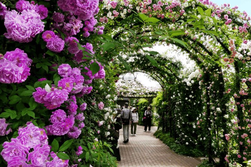 Yokohama Kanagawa One Day Private Charter car from Tokyo - Key Points