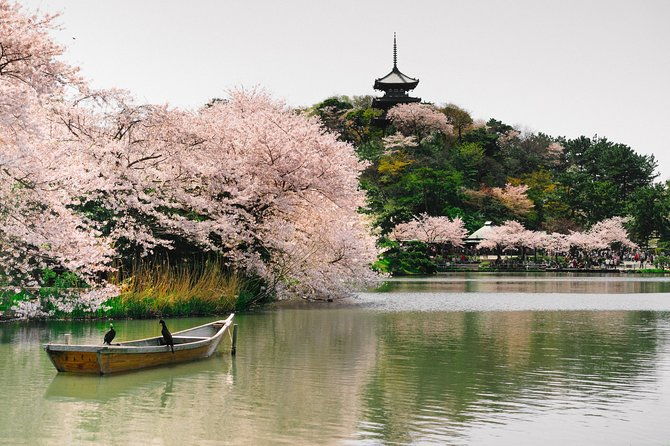 yokohama-private-customizable-half-day-tour