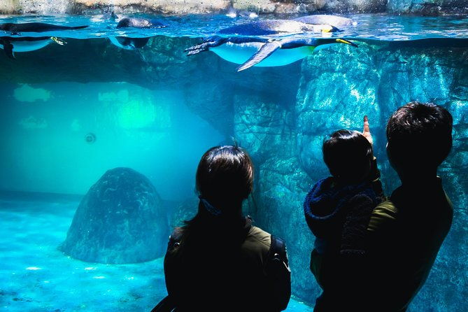 yokohama-private-tours-with-locals-100-personalized-see-the-city-unscripted