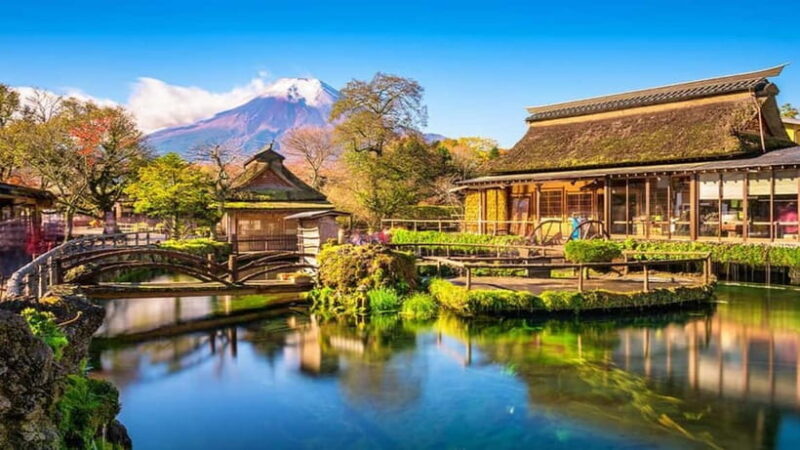 Yokohama Sumo Tour from Tokyo ( Ticket Included) | Apr 16 - Practical Tips for Tour Day