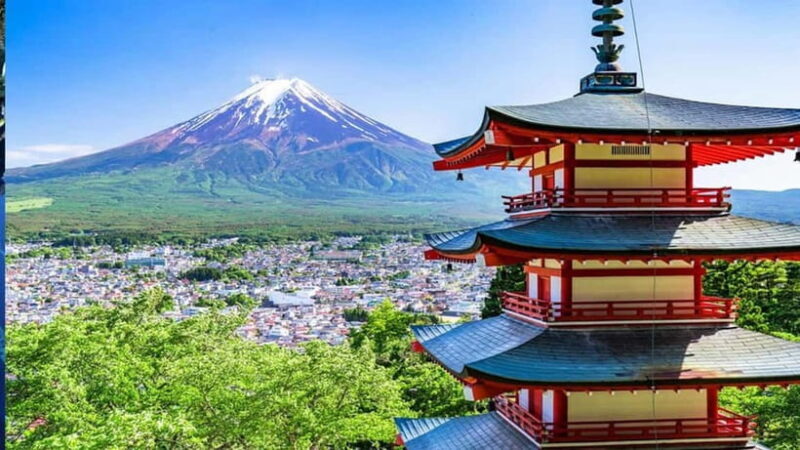 Yokohama Sumo Tour from Tokyo ( Ticket Included) | Apr 16 - Final Thoughts: Is This Tour Worth It?