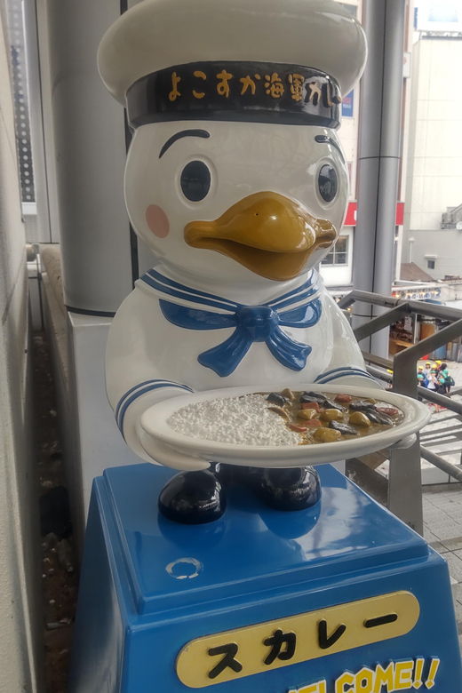 yokosuka-mt-takatoriyama-hiking-and-naval-port-cruise