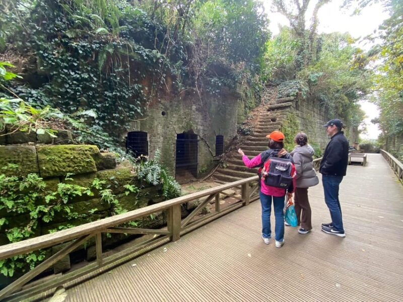 yokosuka-uninhabited-island-and-naval-port-cruise