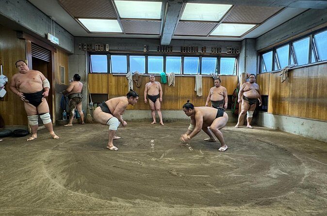 Yokuzuna Sumo Stable Morning Practice in Osaka - Final Thoughts: Is It Worth It?