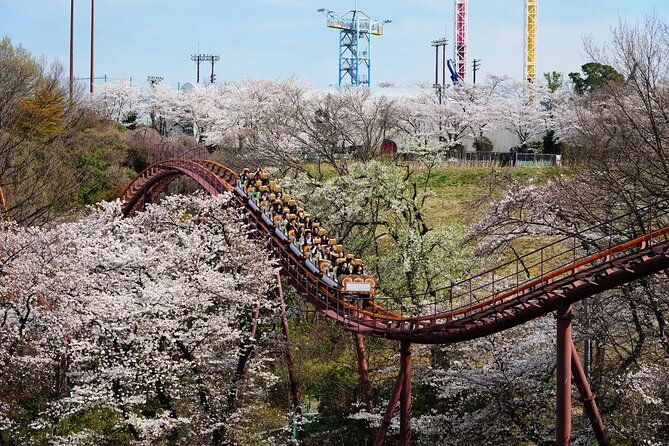 yomiuriland-express-one-day-pass-in-tokyo