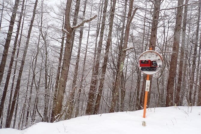 Yonako Falls Expedition: A Snowshoeing Adventure - Detailed Breakdown of the Itinerary