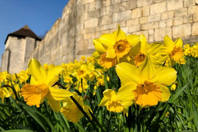 york-3-hour-photography-walking-tour-2