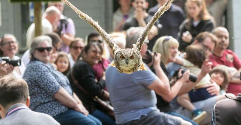 york-entry-to-york-bird-of-prey-centre