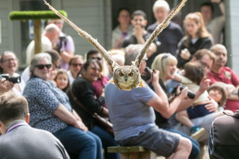 york-entry-to-york-bird-of-prey-centre