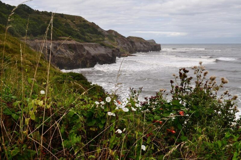 york-north-yorkshire-moors-online-travel-guide