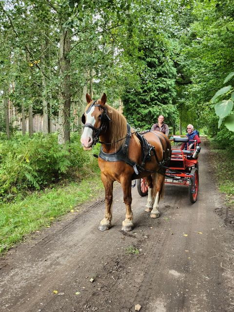 york-private-horse-drawn-carriage-ride-and-afternoon-tea