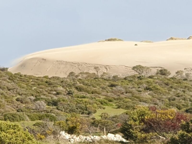Yorke Peninsula: 3-Day Coastal Wilderness Tour from Adelaide - Key Points