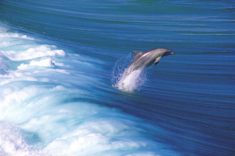 Yorke Peninsula: 3-Day Coastal Wilderness Tour from Adelaide - Exploring the Coastal Wilderness of Yorke Peninsula