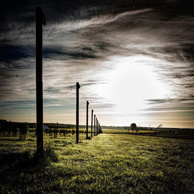Yorkshire: Loversall Vineyard Wine Tasting and Tour - The Sum Up  