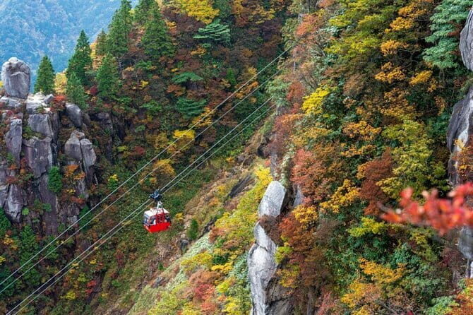 Yoro Falls and Mt. Gozaisho Scenic Ropeway from Nagoya - Practical Details and Value