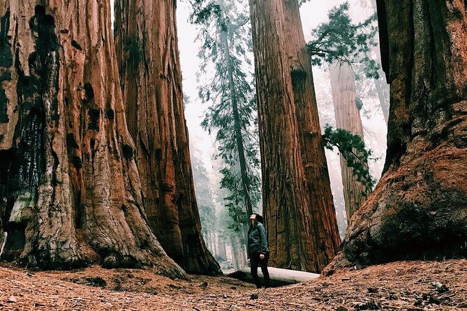 yosemite-3-day-lodging-adventure-from-san-francisco