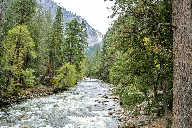 yosemite-adventure-full-day-private-tour-from-san-francisco