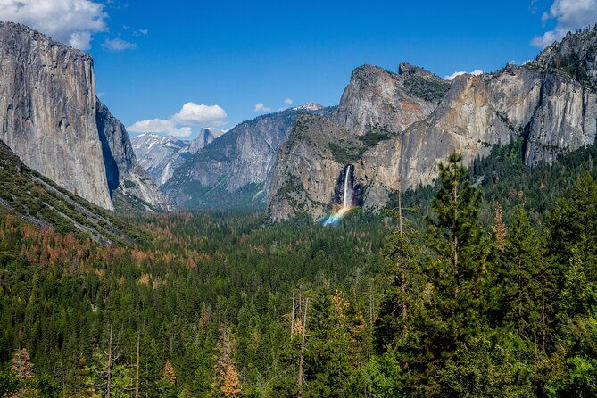 yosemite-and-giant-sequoias-day-tour-2