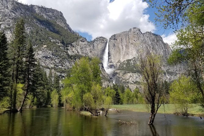 yosemite-day-tour