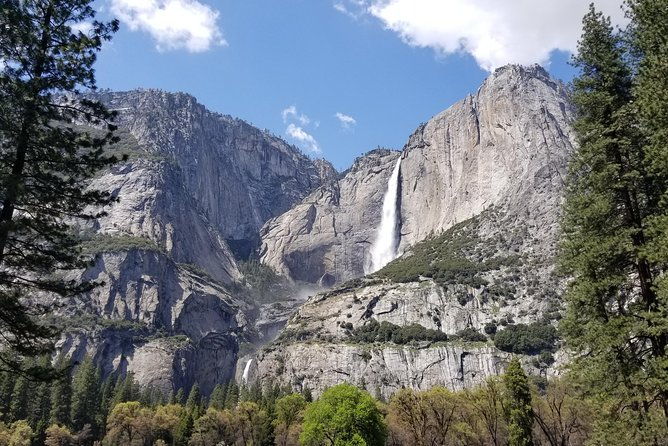 yosemite-day-tour