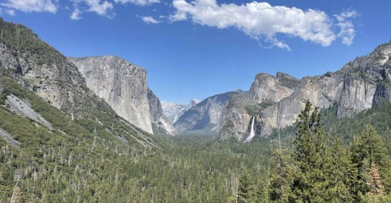 yosemite-giant-sequoias-private-tour-from-san-francisco