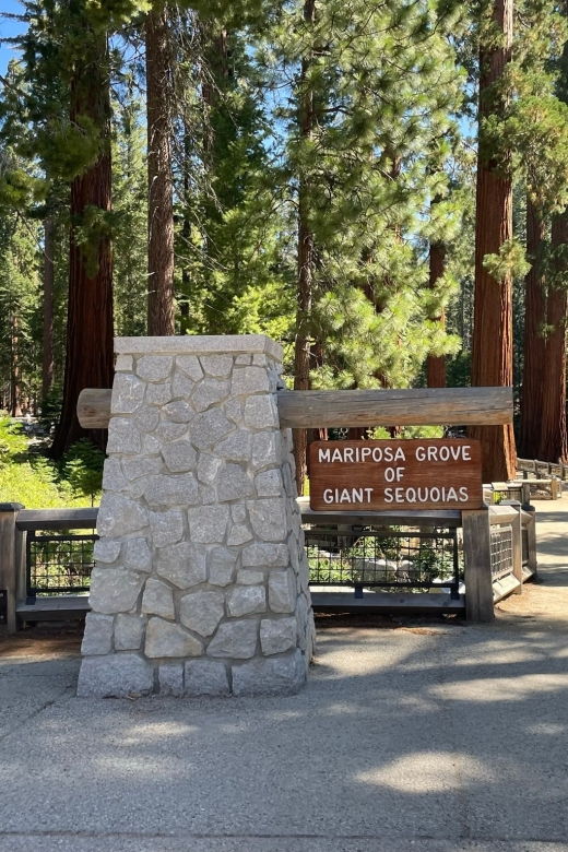 yosemite-giant-sequoias-private-tour-from-san-francisco