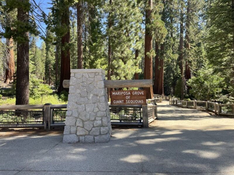 yosemite-giant-sequoias-private-tour-from-san-francisco