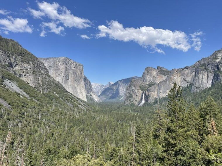 yosemite-giant-sequoias-private-tour-from-san-francisco