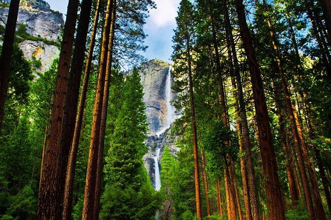 yosemite-highlights-5-day-tour-from-san-francisco