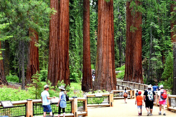 Yosemite Highlights Small Group Tour - Discover Yosemite: A Top-Rated Day Trip
