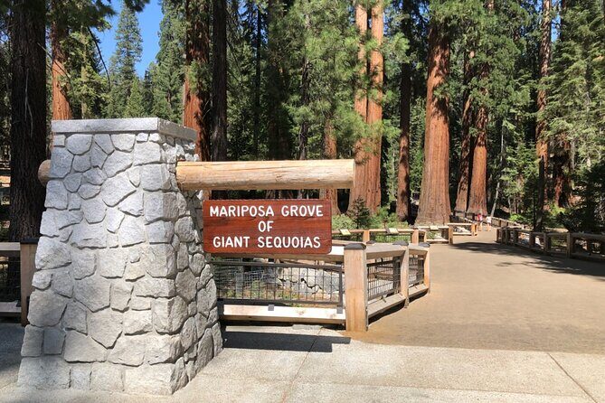 Yosemite Highlights Small Group Tour - Practical Details & What You Can Expect