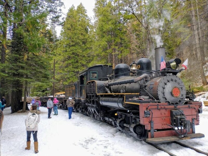 Yosemite Mountain Sugar Pine Railroad Ride with Narration - Scenic Views and Natural Beauty