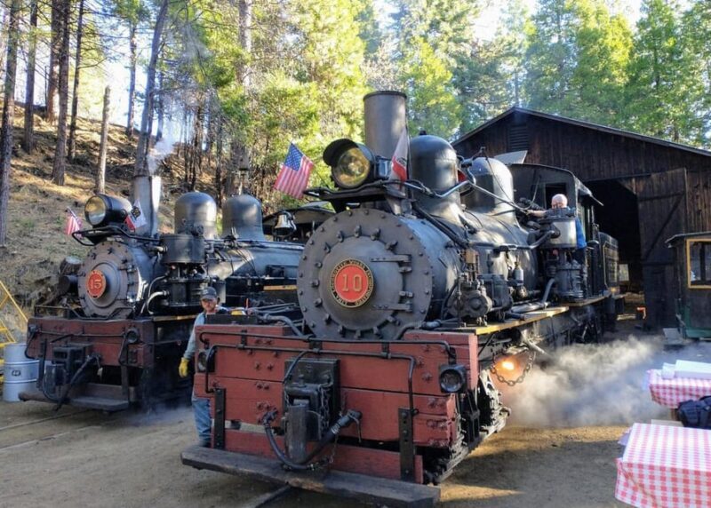 Yosemite Mountain Sugar Pine Railroad Ride with Narration - Who Is This Tour Best For?