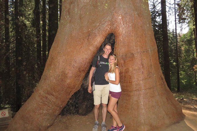 Yosemite National Park 2-Day Private Tour Package Hotel Accommodation Included - FAQ