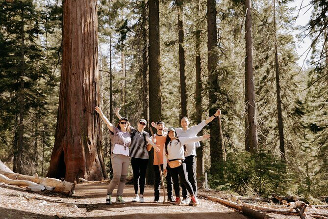 yosemite-national-park-giant-sequoias-2-day-semi-guided-tour