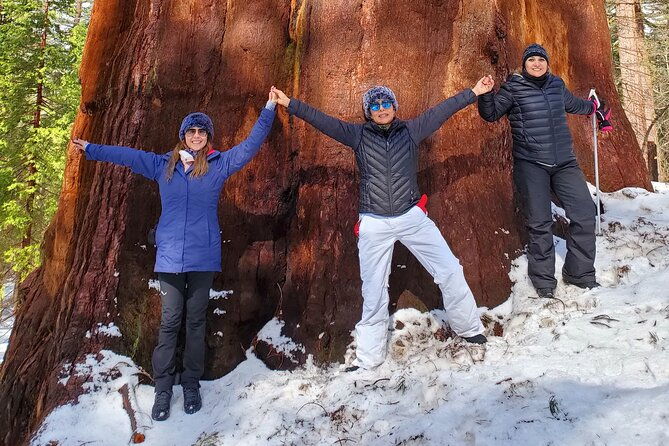 yosemite-national-park-private-1-day-tour-from-san-francisco