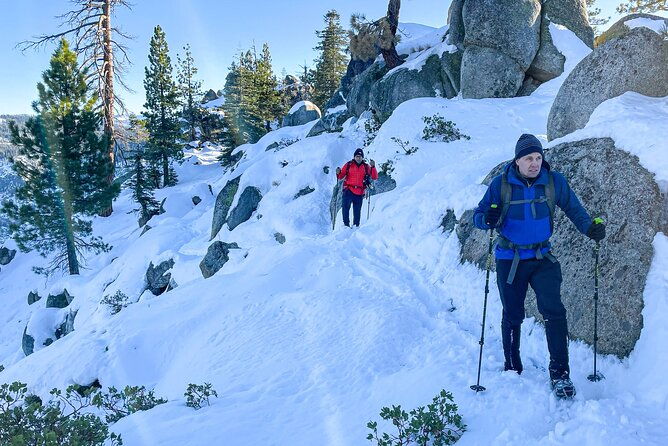 yosemite-winter-wonderland-guided-hiking-or-snowshoeing