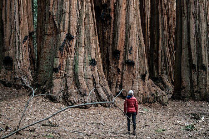 yosemite-womens-only-3-day-camping-adventure-from-san-francisco