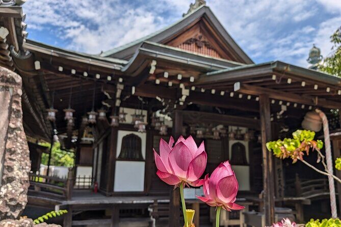 Yoshinoyama : the Roots of Shugendo Spirituality - Discovering the Roots of Shugendo in Yoshinoyama