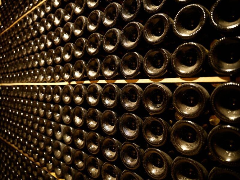 Your Cava, Your Story  Wine workshop experience at Artcava - Key Points