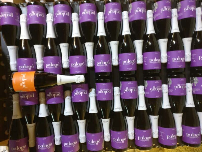 Your Cava, Your Story  Wine workshop experience at Artcava - Who Should Book This Experience?